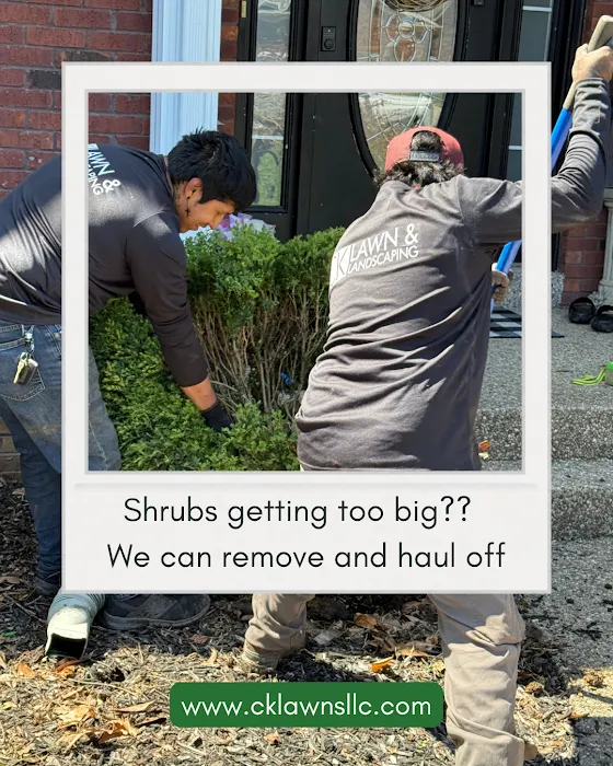 C K Lawn & Landscaping LLC Picture 2