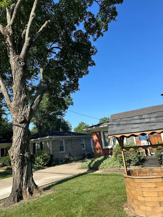 Benigno Perez Tree Services Picture 8
