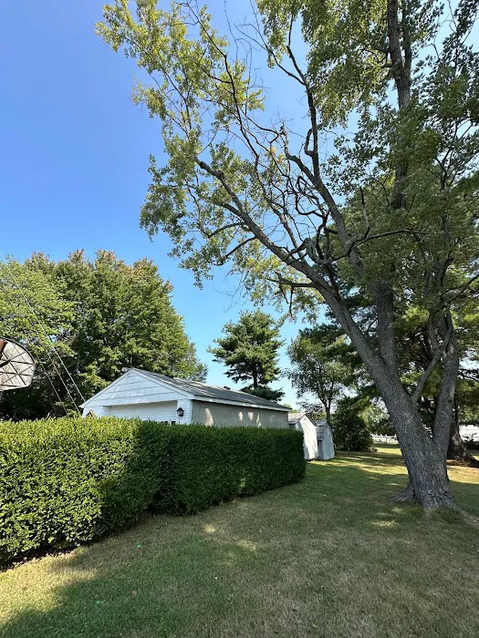 Benigno Perez Tree Services Picture 10
