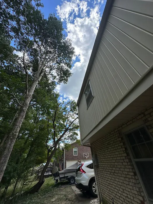 Benigno Perez Tree Services Picture 5