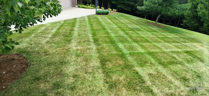 Accurate Lawn & Landscaping Picture 8