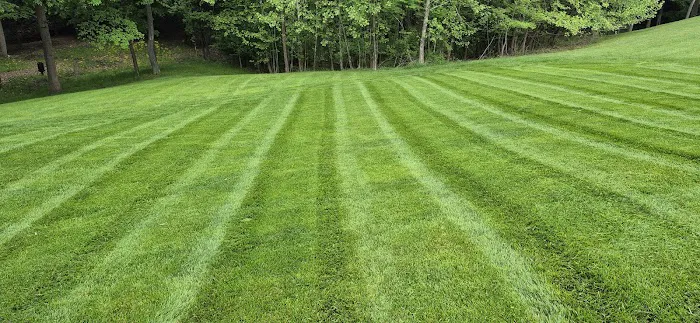 Accurate Lawn & Landscaping Picture 3