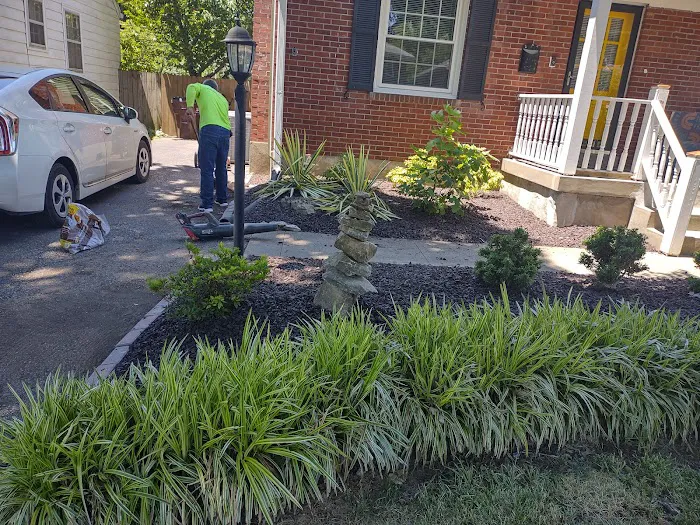 Lawn Care Services Guerrero Picture 6
