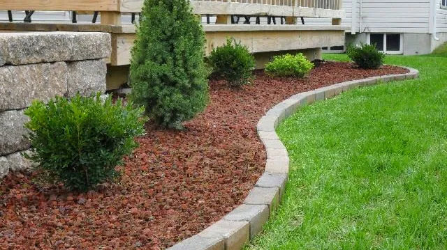 Lawn Care Services Guerrero Picture 9