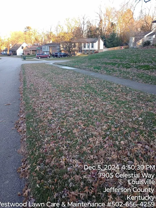 Westwood Lawn Care & Maintenance Picture 2