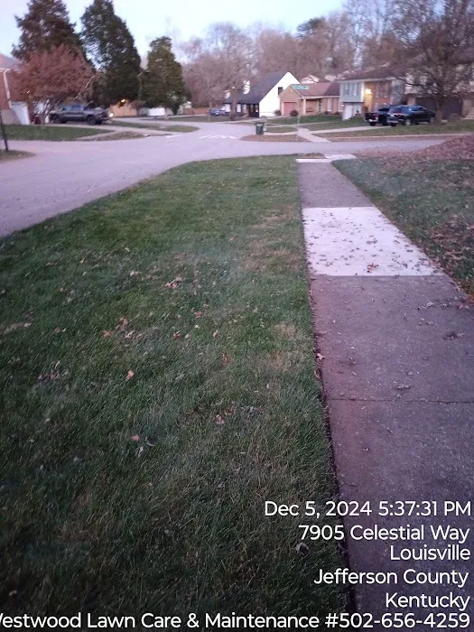 Westwood Lawn Care & Maintenance Picture 10
