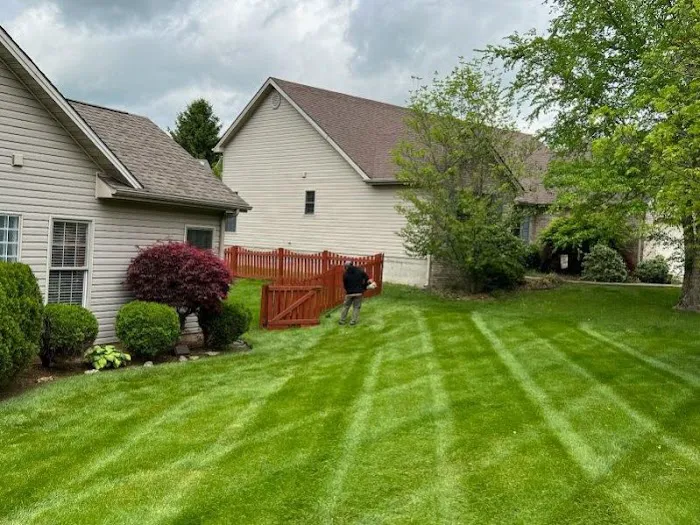 Saenz landscaping Picture 2