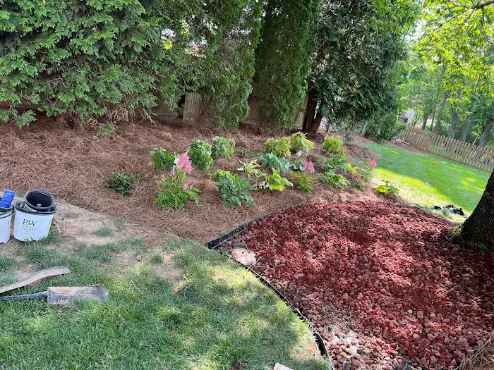 Saenz landscaping Picture 6