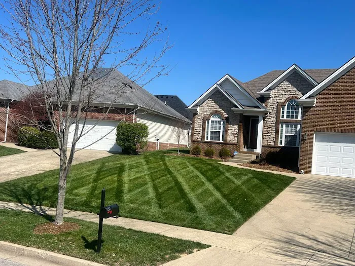 Saenz landscaping Picture 4