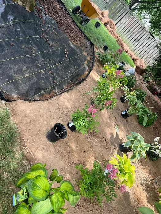 Saenz landscaping Picture 5