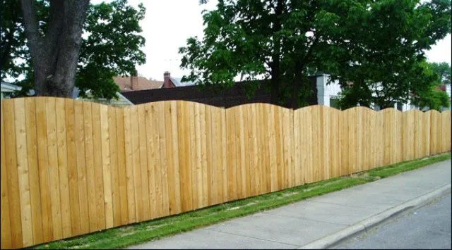 Saenz landscaping Picture 1