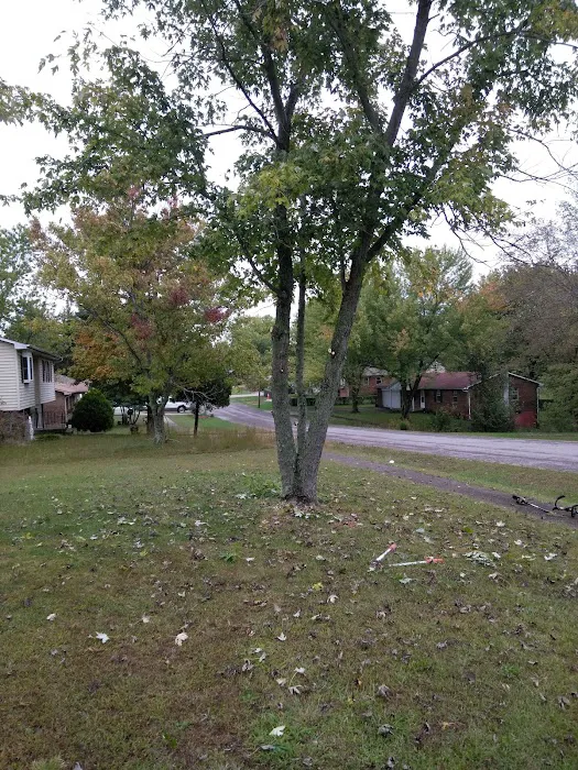 Simmons Lawn Care & Handy Man services Picture 6