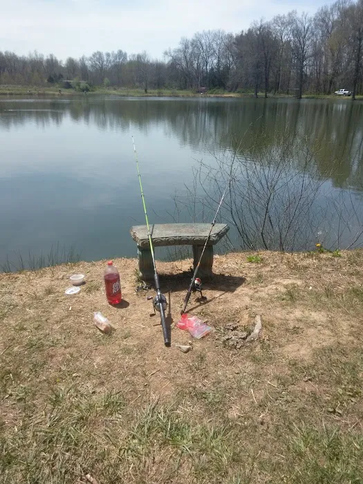 Simmons Lawn Care & Handy Man services Picture 7