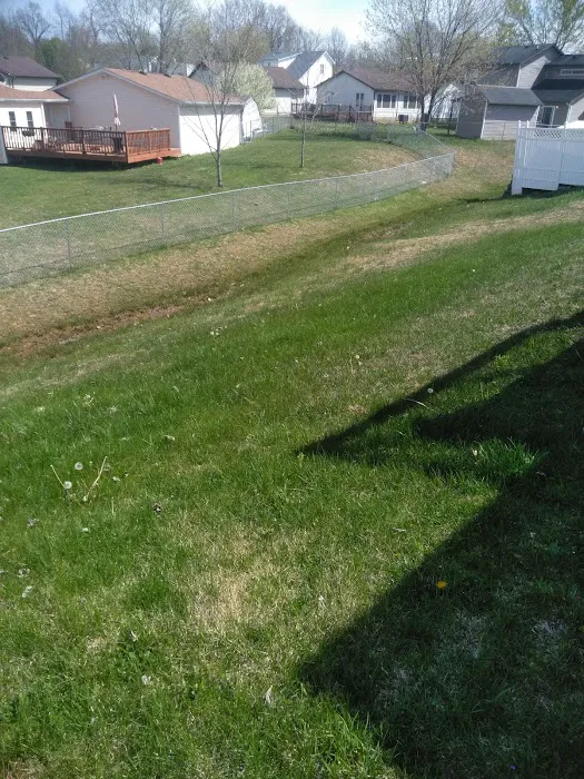Simmons Lawn Care & Handy Man services Picture 9