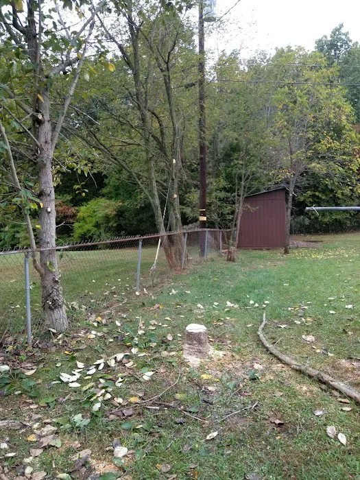 Simmons Lawn Care & Handy Man services Picture 3