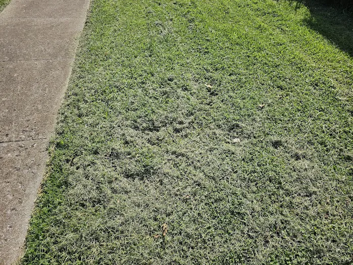 Mainscape Picture 2