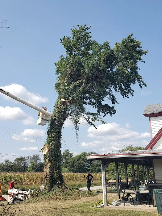 A Top Notch Tree Service Picture 1