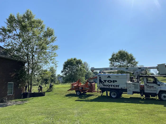 A Top Notch Tree Service Picture 4