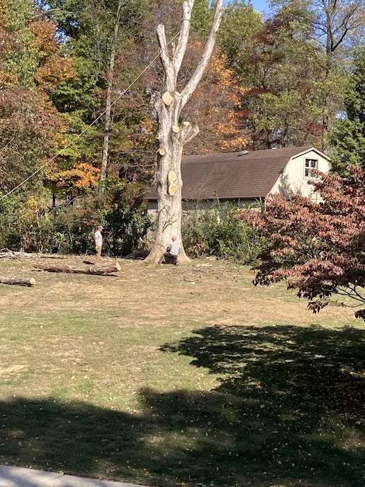 Hardin County Tree Service L.L.C. Picture 1