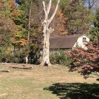 Hardin County Tree Service L.L.C. ico