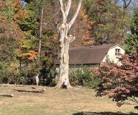 Hardin County Tree Service L.L.C.