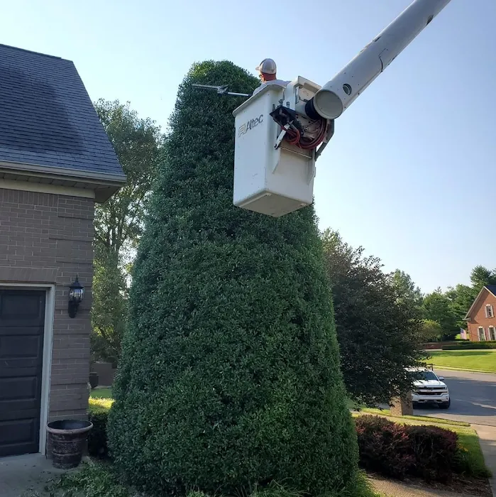 Hardin County Tree Service L.L.C. Picture 9