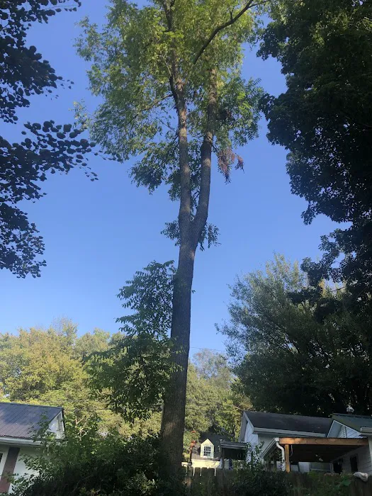 Hardin County Tree Service L.L.C. Picture 7