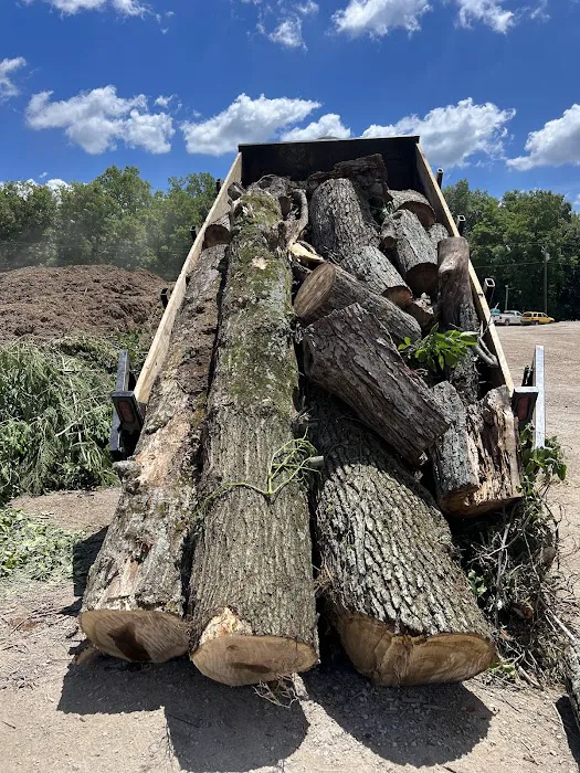 Hardin County Tree Service L.L.C. Picture 4