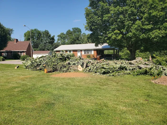 Hardin County Tree Service L.L.C. Picture 8