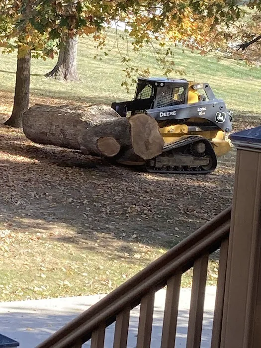 Hardin County Tree Service L.L.C. Picture 3