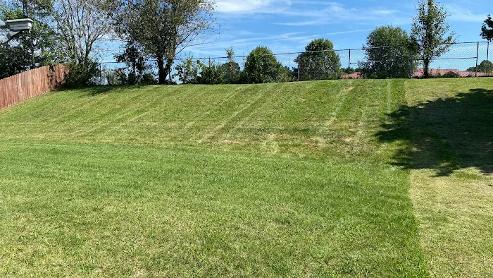 J&J lawn care and junk removal Picture 2