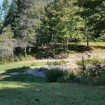 Graham's Green Thumb