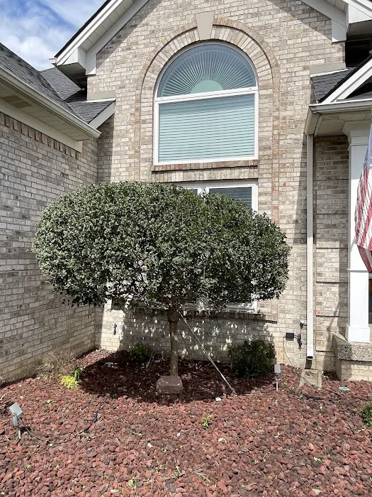 Rising Sun Lawn Care Picture 7
