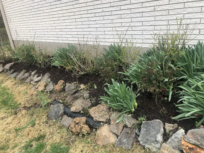 Rising Sun Lawn Care Picture 3