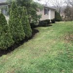 Rising Sun Lawn Care