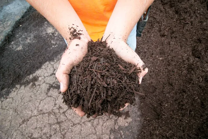 Earth First of Kentuckiana Inc Picture 7