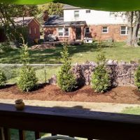 Ward's Landscape Services Inc ico