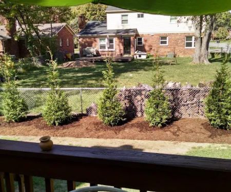 Ward's Landscape Services Inc