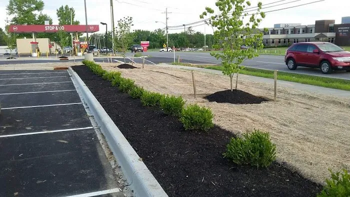 Land service and remodel LLC Picture 3