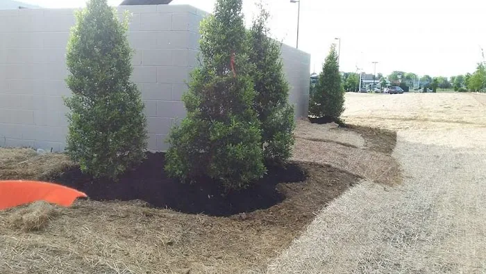 Land service and remodel LLC Picture 2