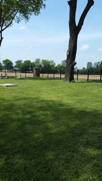 Moores Lawncare & Landscaping LLC Picture 2