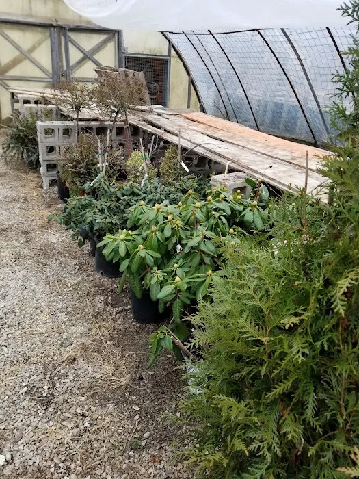 Day's Garden Center Picture 8