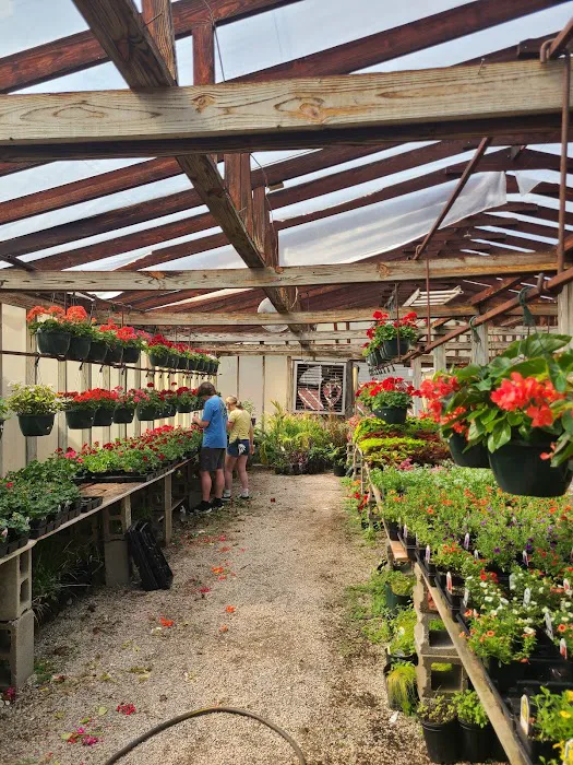 Day's Garden Center Picture 10