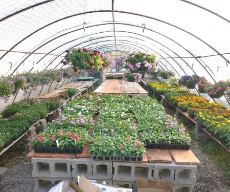 Day's Garden Center