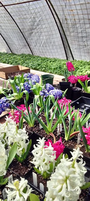 Day's Garden Center Picture 7