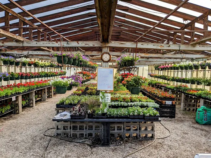Day's Garden Center Picture 9