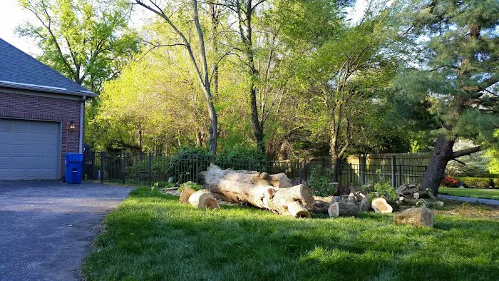 AMERICAN TREE EXPERTS & LANDSCAPING Picture 1