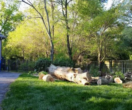 AMERICAN TREE EXPERTS & LANDSCAPING