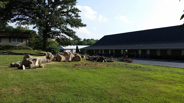 AMERICAN TREE EXPERTS & LANDSCAPING Picture 5