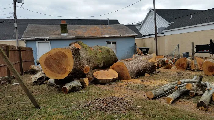 AMERICAN TREE EXPERTS & LANDSCAPING Picture 8